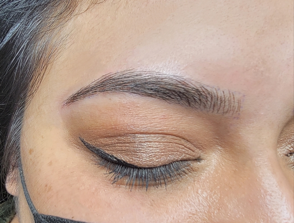 Microblading Touch Up