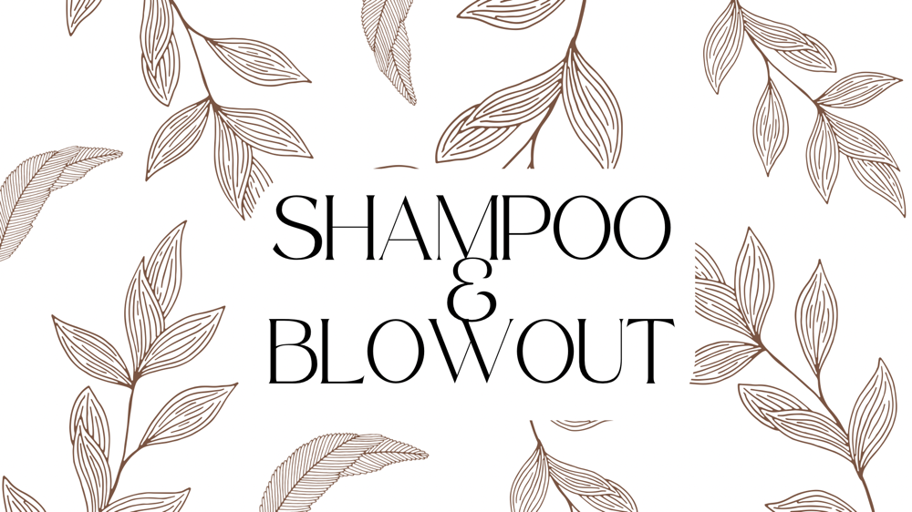 Shampoo + Blowout