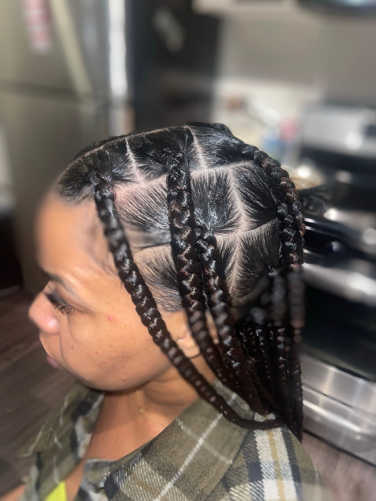 Knotless Braids ( Lg )