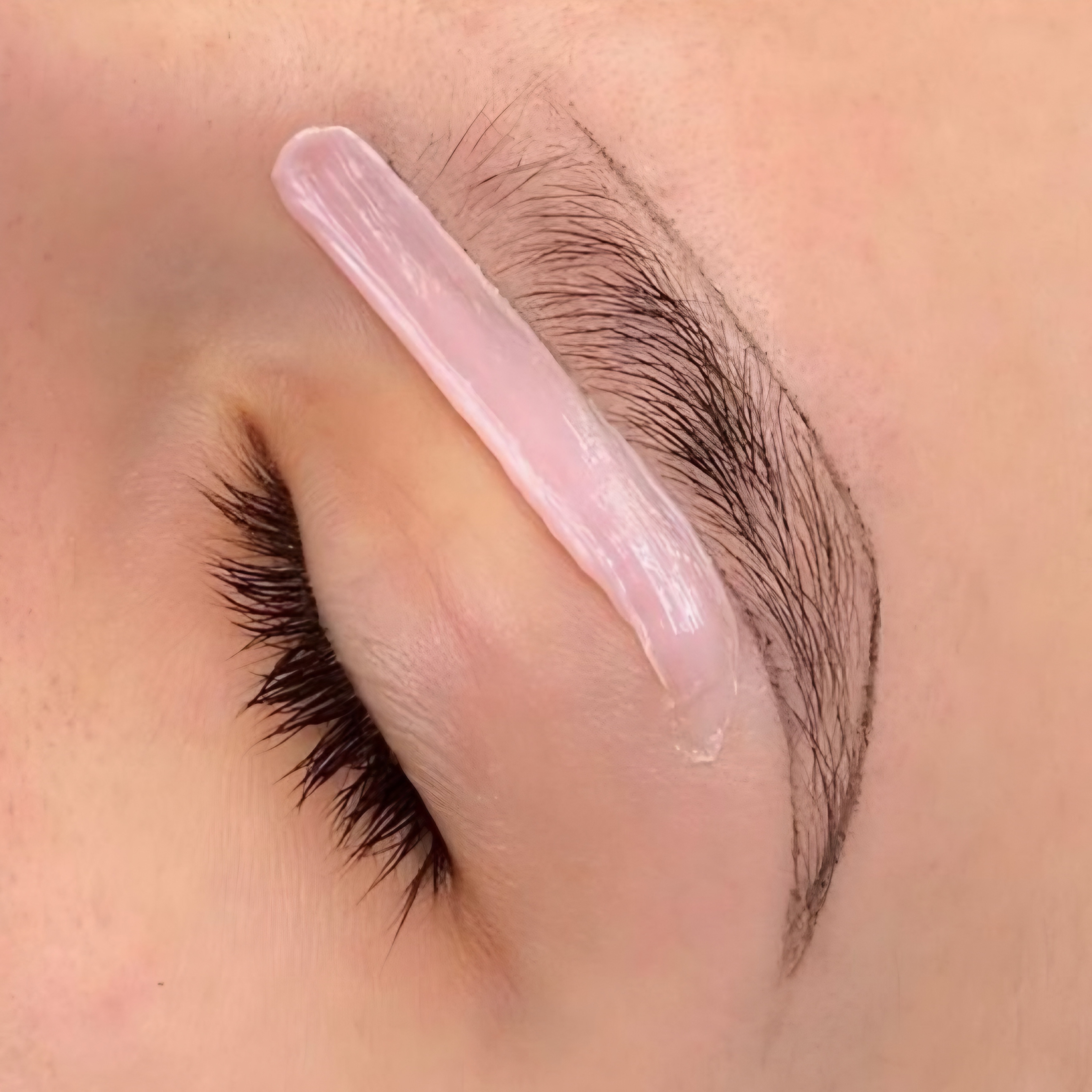 New Client Brow Wax at LASHES BY YANI in Fort Smith, AR