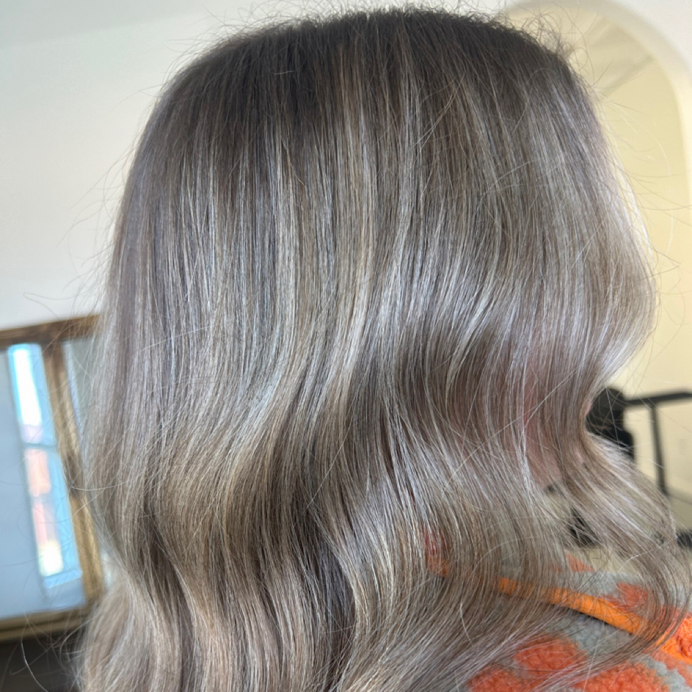 Mini Blonde Refresh at Kassidy and Bentley in Scottsboro, AL