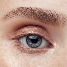 Brow Lamination