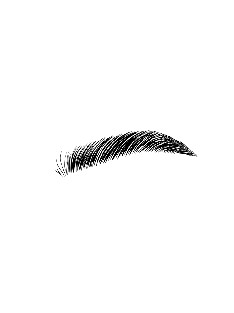 Brow Lamination & Tint