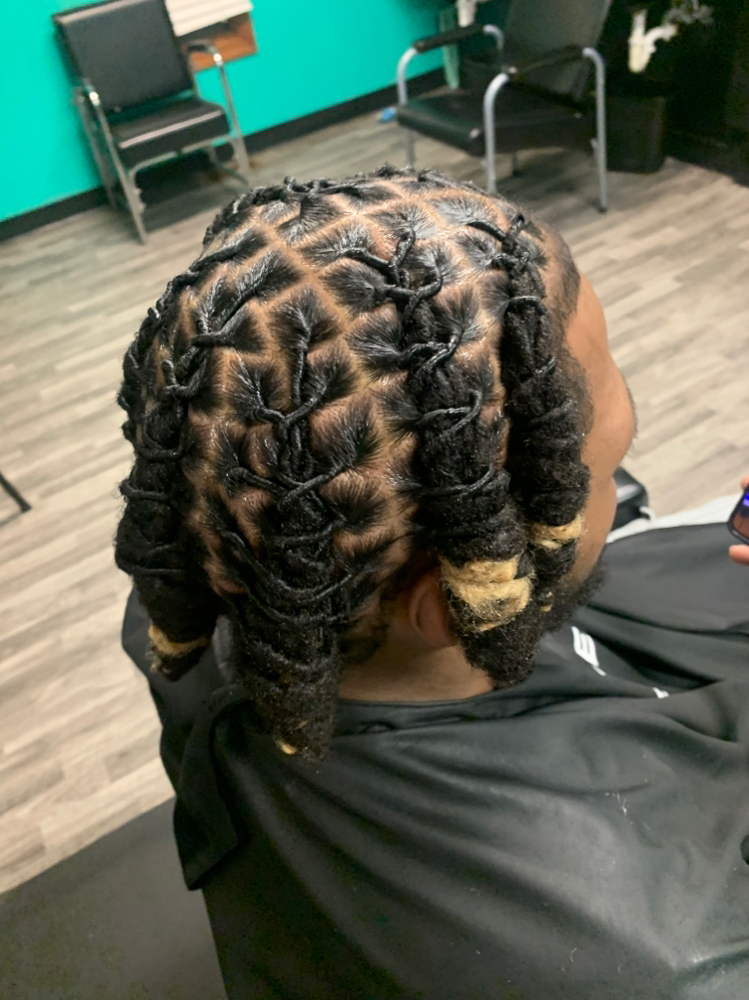 Learn Everything About Locs Class
