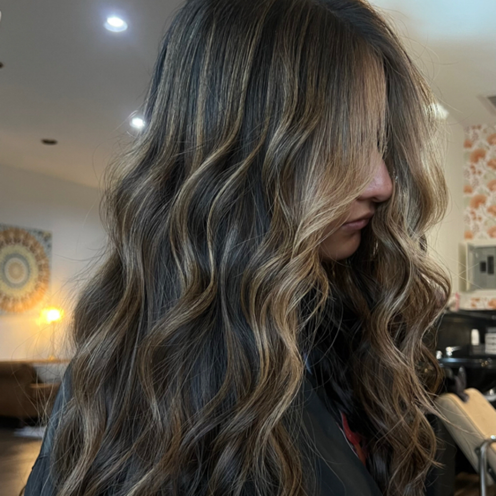 Partial Highlight at Daxella Salon in Hernando, MS