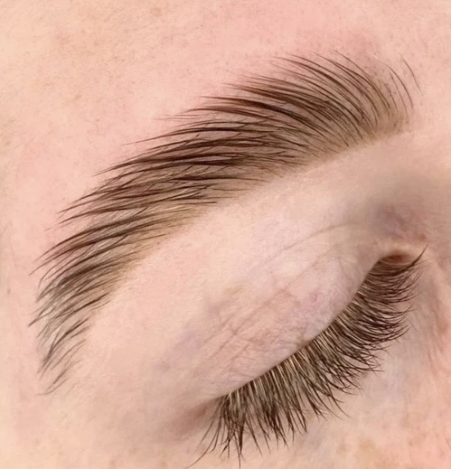 Brow Lamination