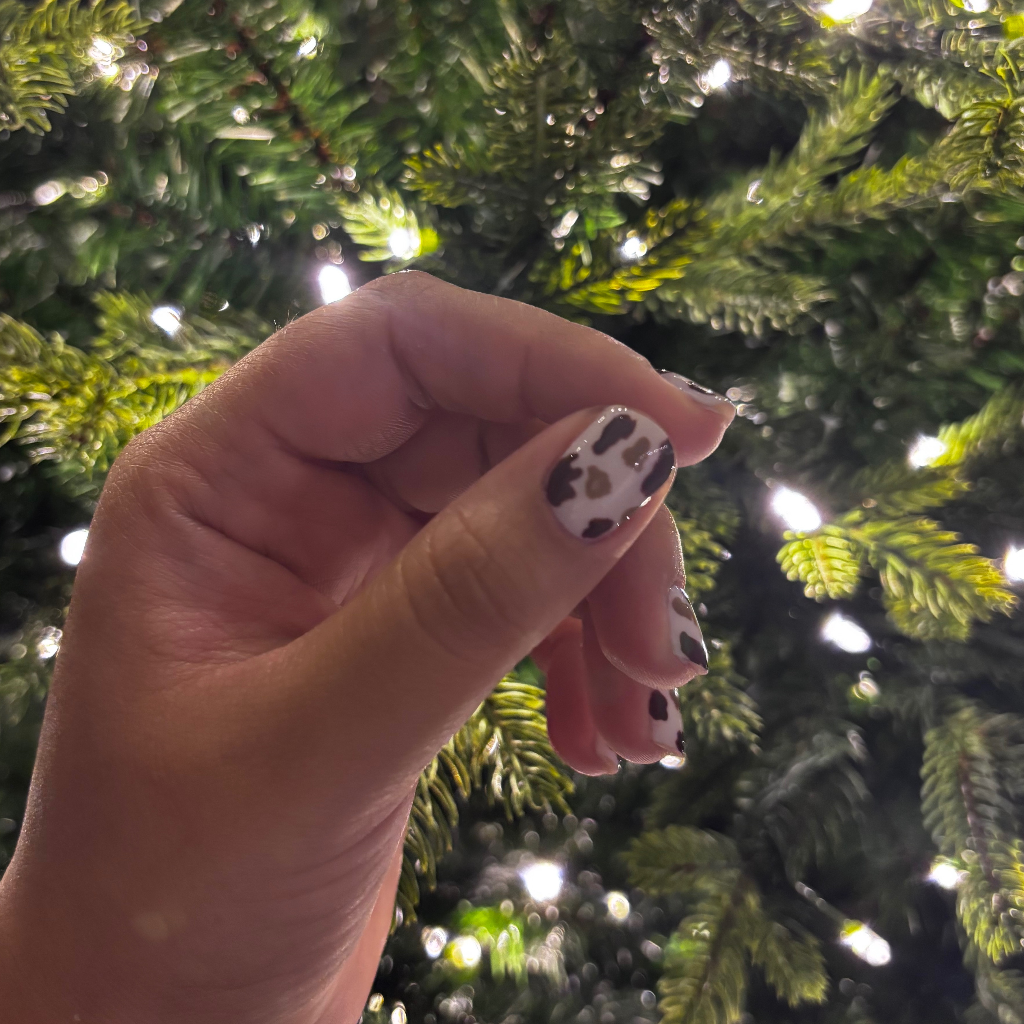 Nail Art (add-on) at Delicacy Nails LLC in Brandon, FL