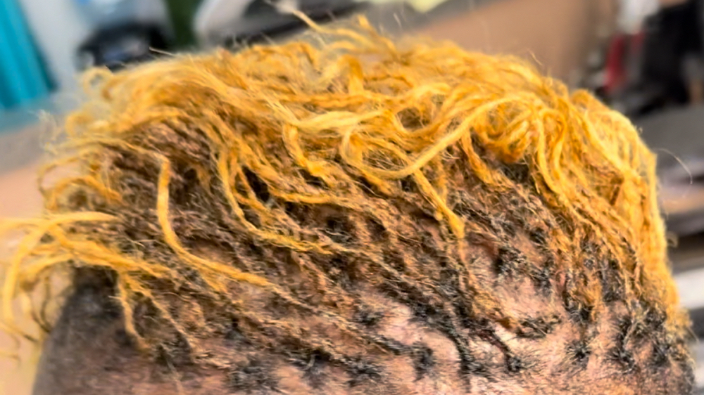 MicroLocs at Hair Trendz in Columbia, SC