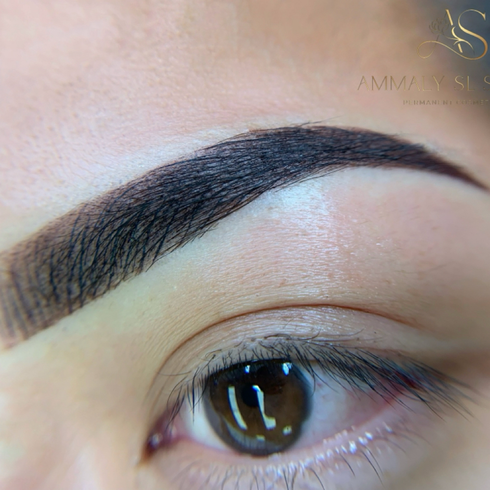 OMBRE POWDER SHADING at Ammaly SL Studio in Auburn, WA