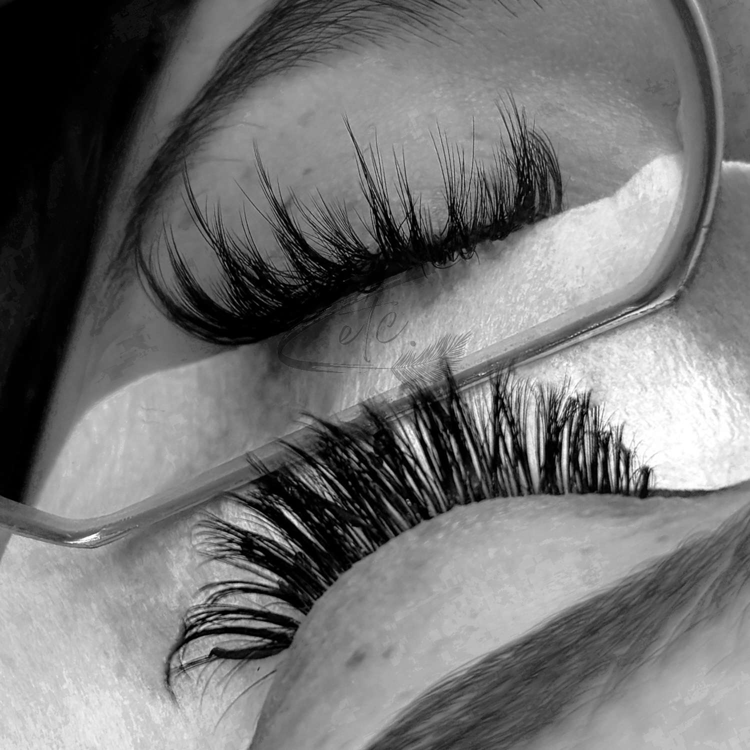 Anime/Manhua Lash Fill