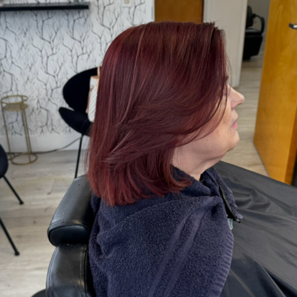 All-Over Color at Andrely Beauty in Kissimmee, FL