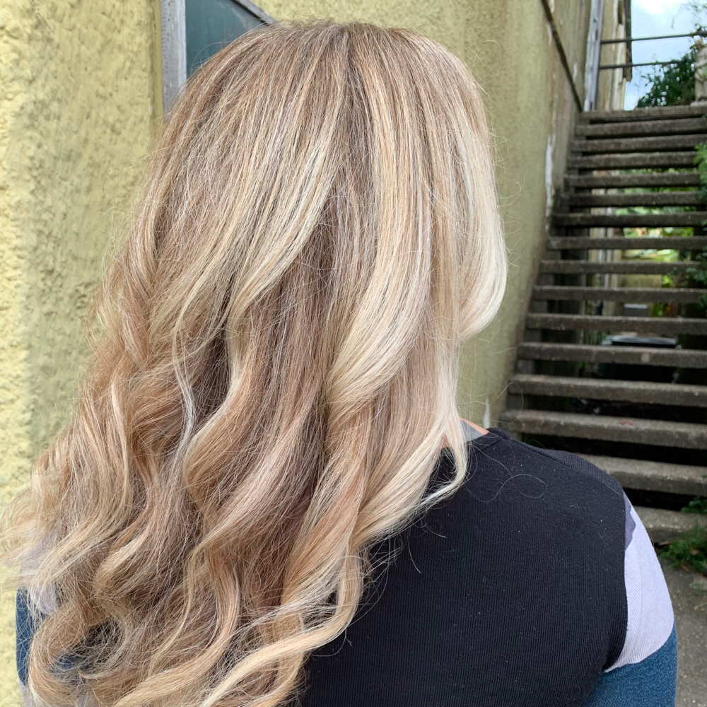 Root Touch Up