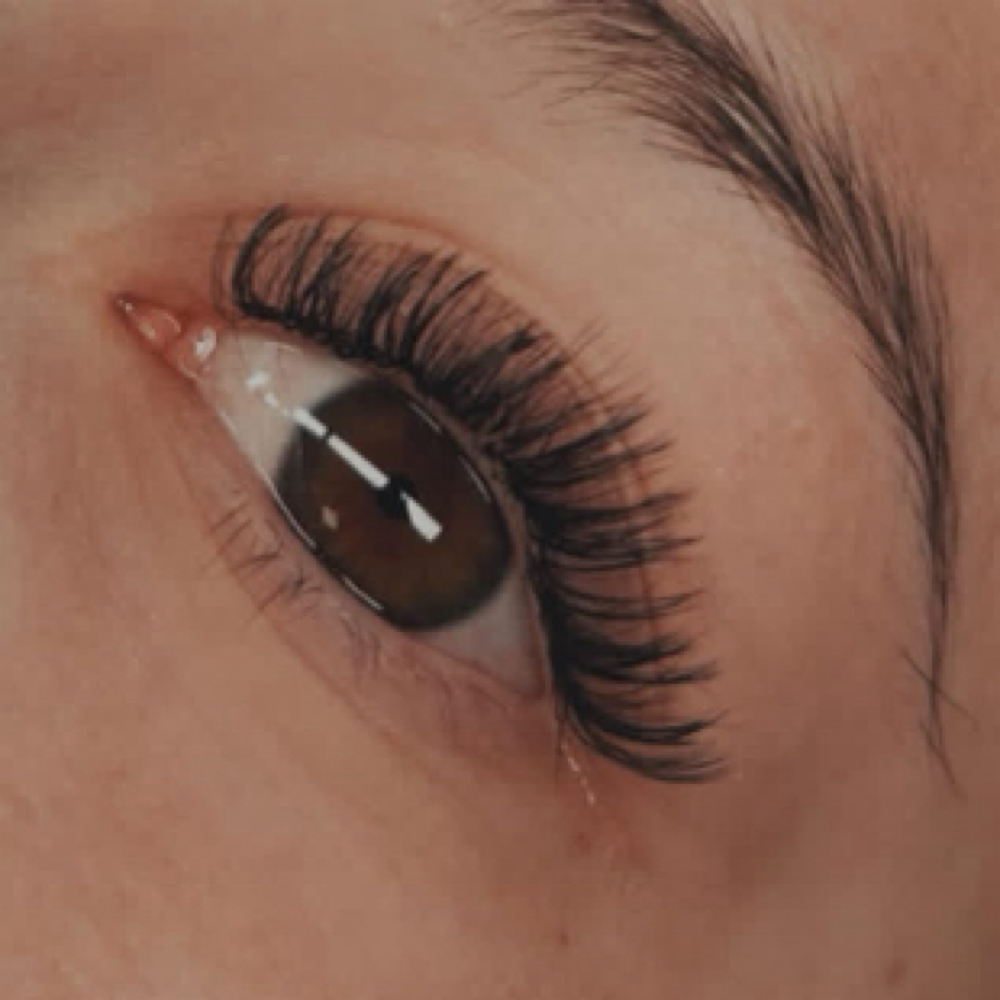Angel Lash Full Set at Lashed By E 💫 in Marion, IN