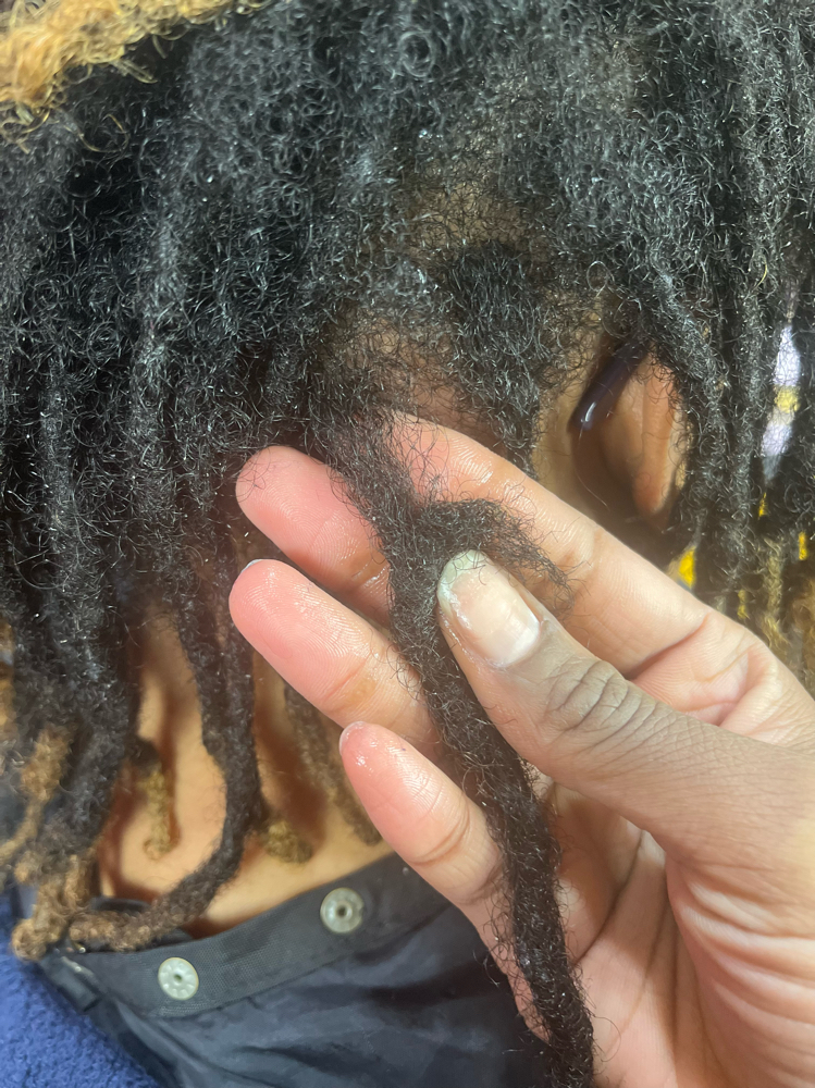 Crochet Maintenance (roots Only)
