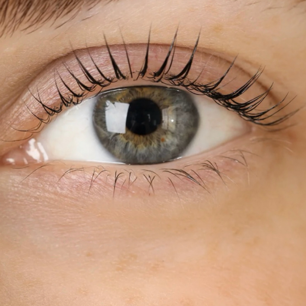 Lash Lift & Tint at Irys Beauties in Tampa, FL