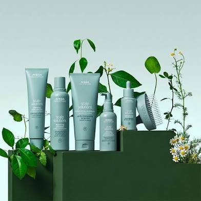 Scalp Solutions Treament
