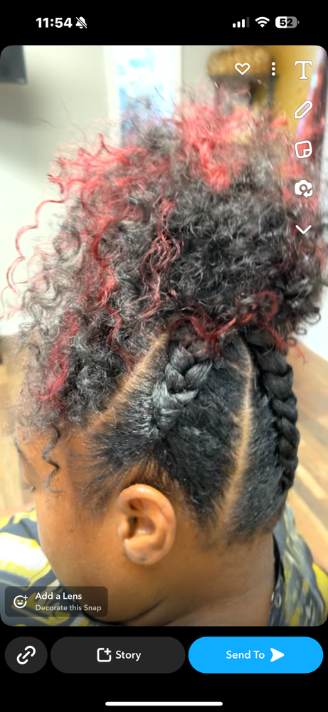 Ponytail Up Do
