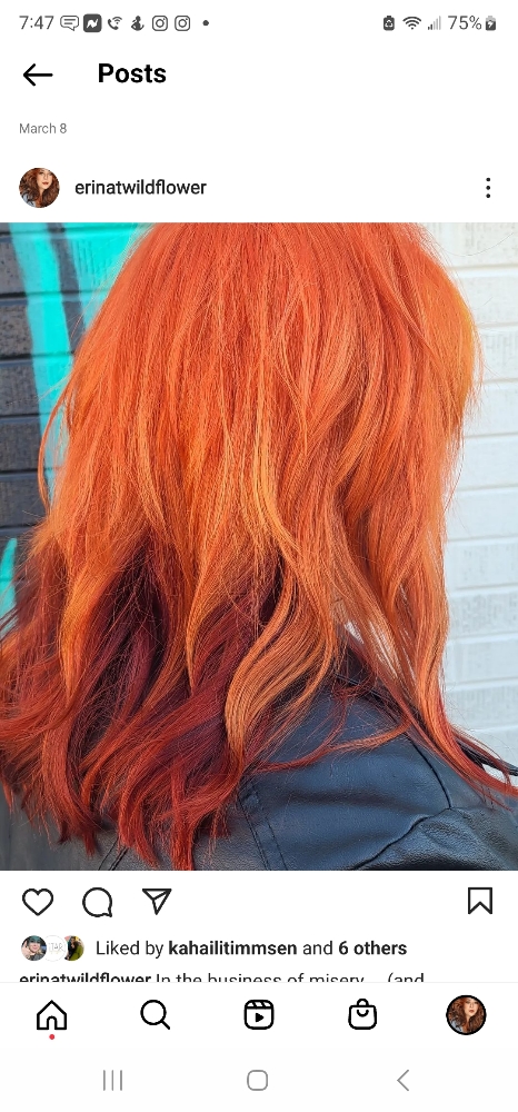 Haircut, Wash, Style at Wildflower Salon in Colorado Springs, CO