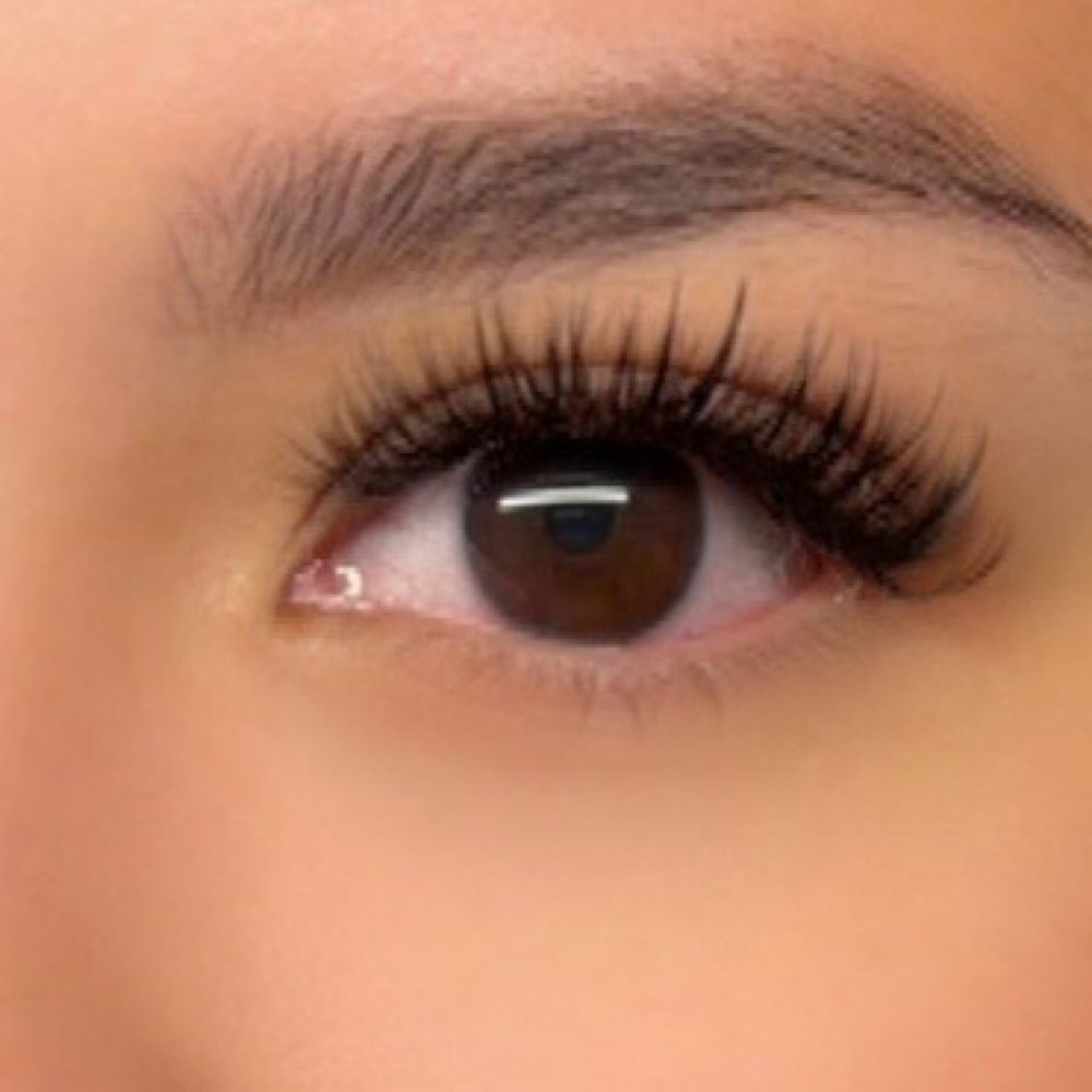 Soft Wispy Volume at Evanly Lashes in Weslaco, TX