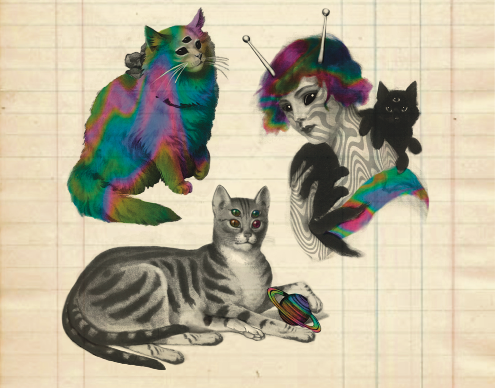 Alien Kitties