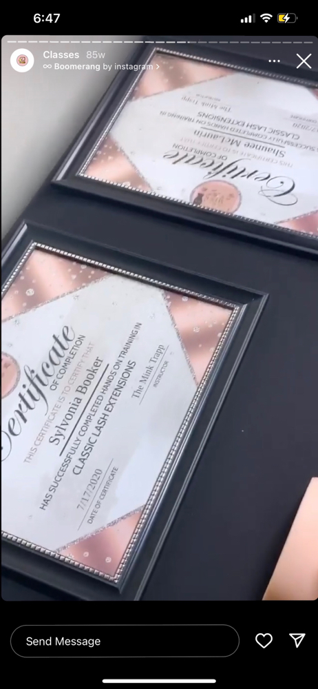 Classic Lash Certification Class at DLux Co. in old hickory, TN