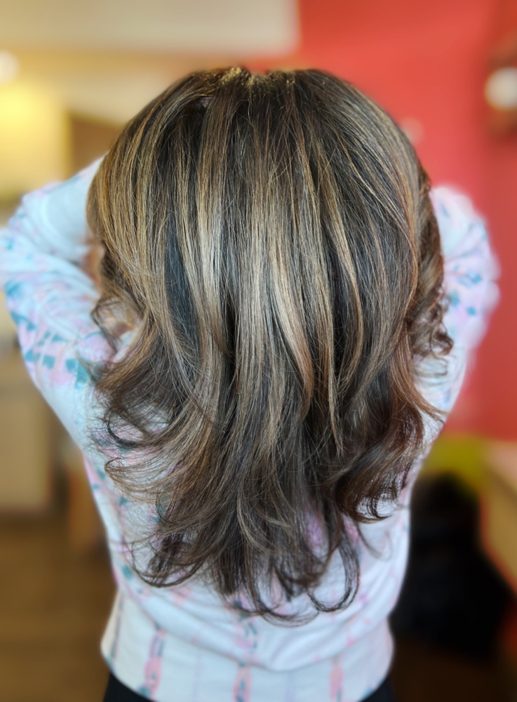 Partial Balayage & Haircut