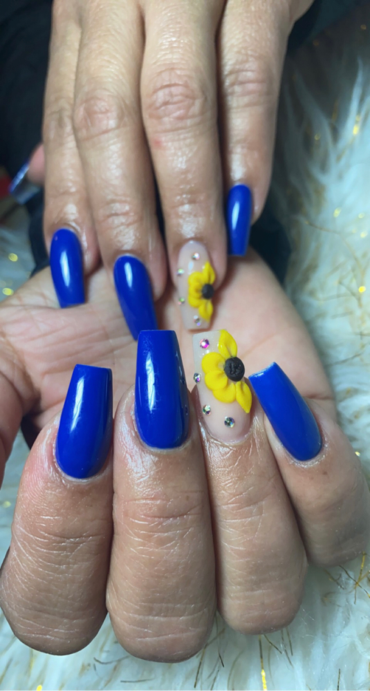 3D Flowers