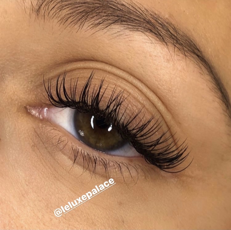 Classic Eyelash