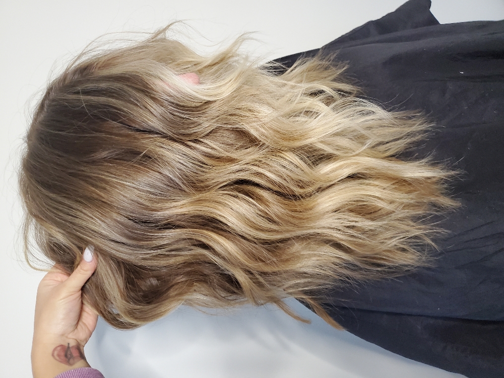 Partial Balayage & Blowdry