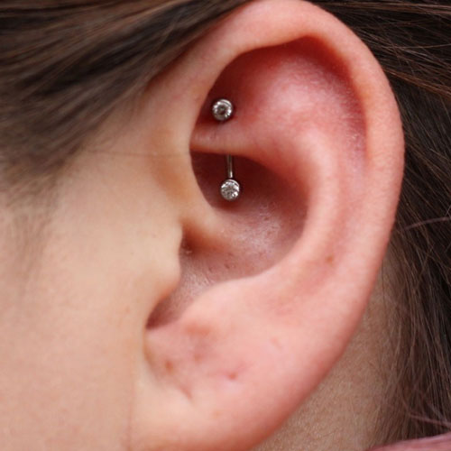Rook