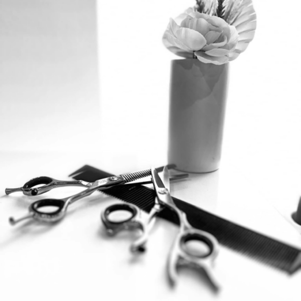 Cut & Style at Hair by Tori Grace in Fort Smith, AR