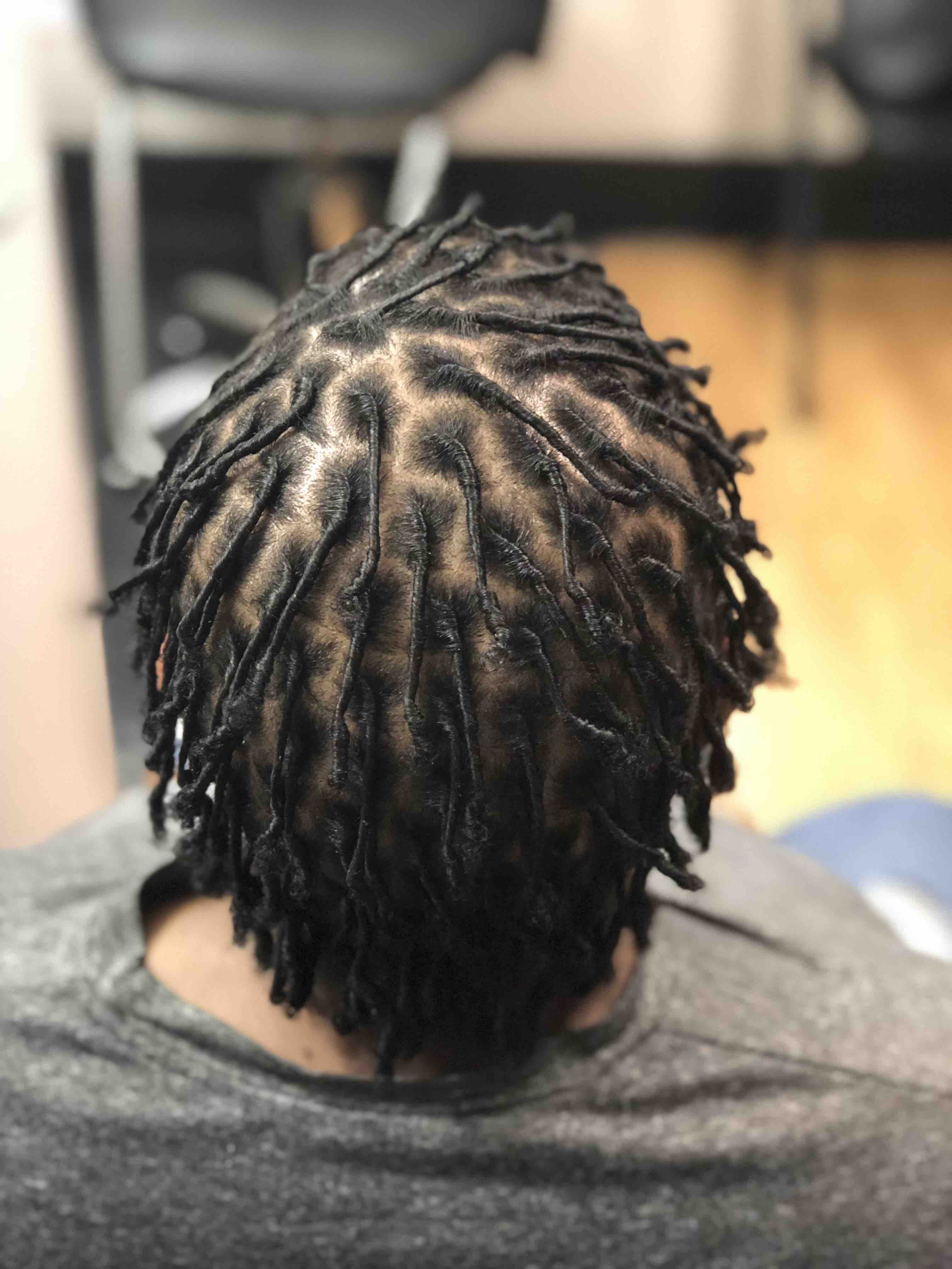 Starter Locs