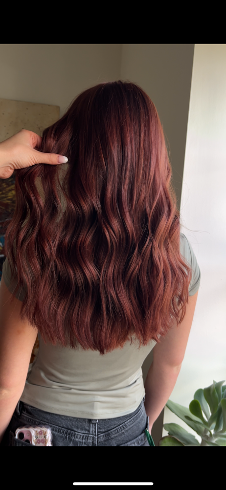 All Over Color at The Demi Hair in Houston, MO