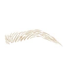 Microblading & Shading