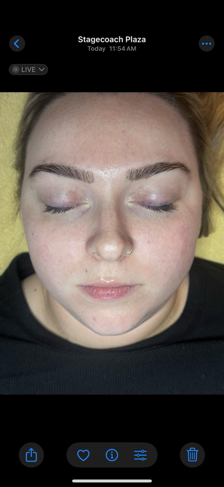Eyebrow Lamination w/ Tint & Wax