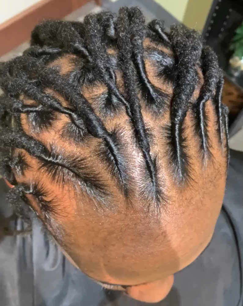 Loc Retwist