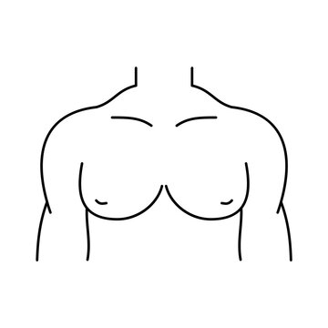 Partial Chest