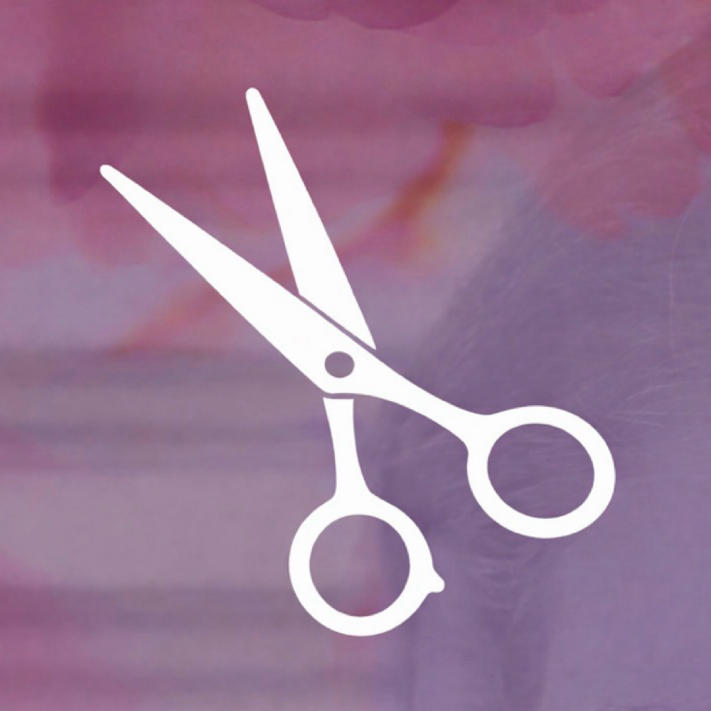 Full Haircut at audrey glazier in La Mesa, CA