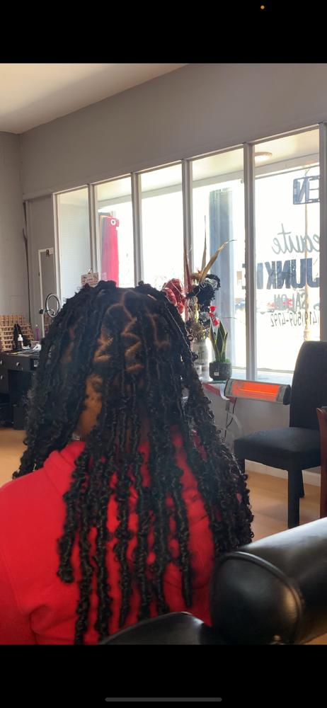 Mid-Back Butterfly/Faux 🦋 Locs