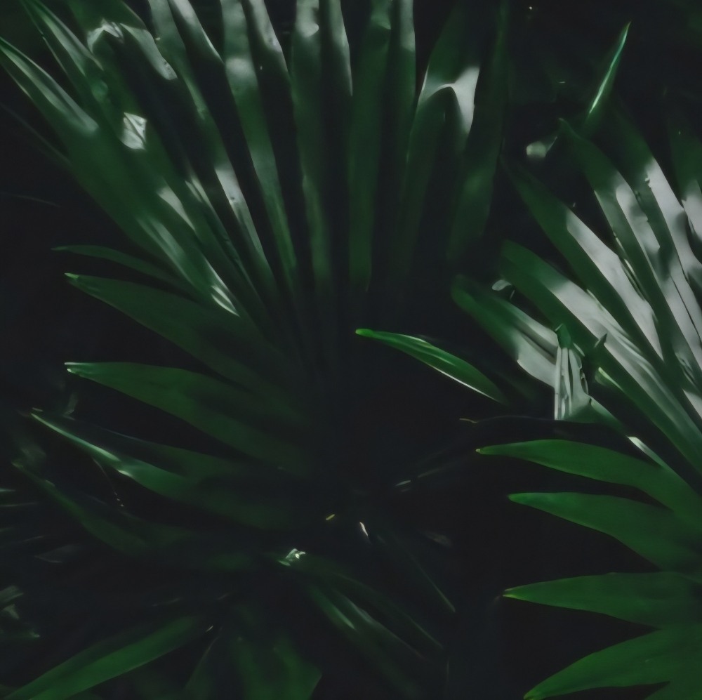 30 Minute Chair Massage