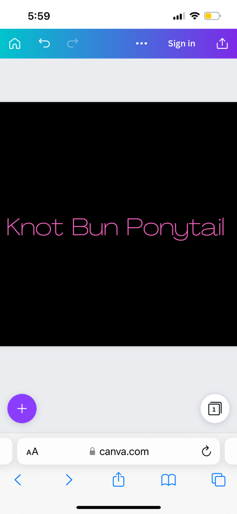 Knot Bun Pony