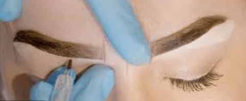Ombre Powder Eyebrow Shading