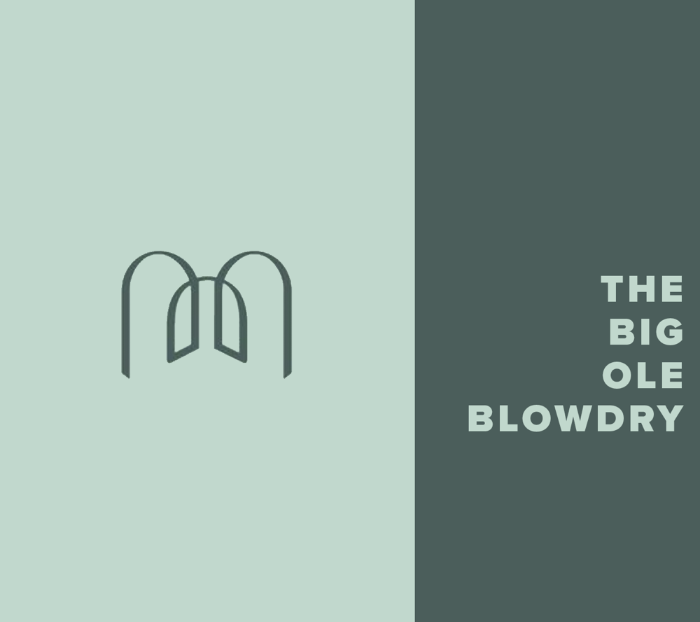 The Big Ole Blowdry