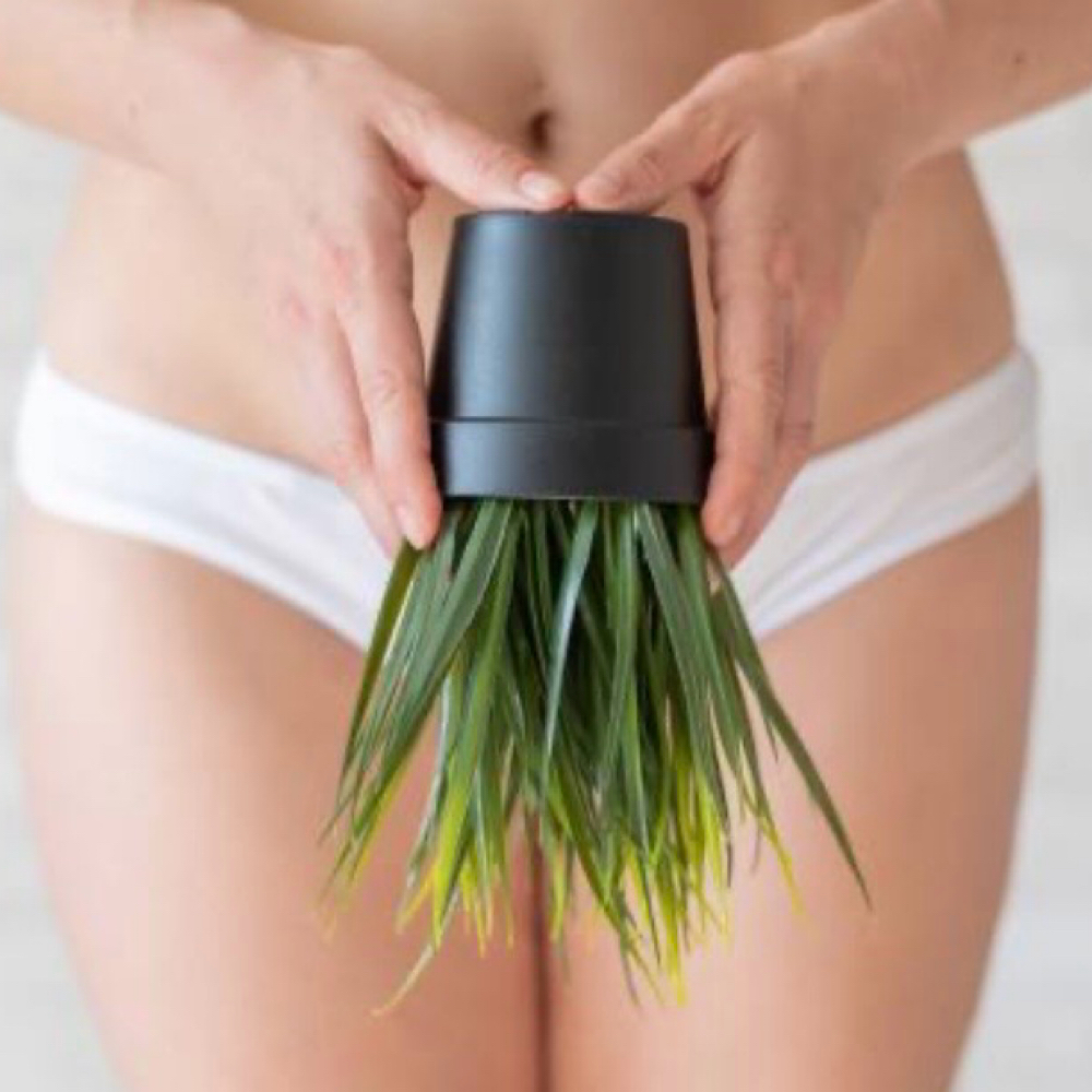 Brazillian Wax at Olivia Esthetics in Longview, TX