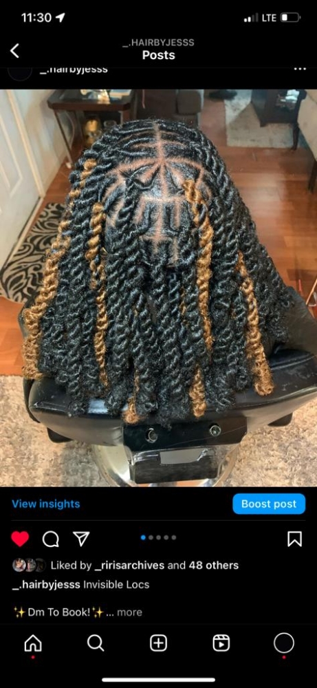 Invisible Locs