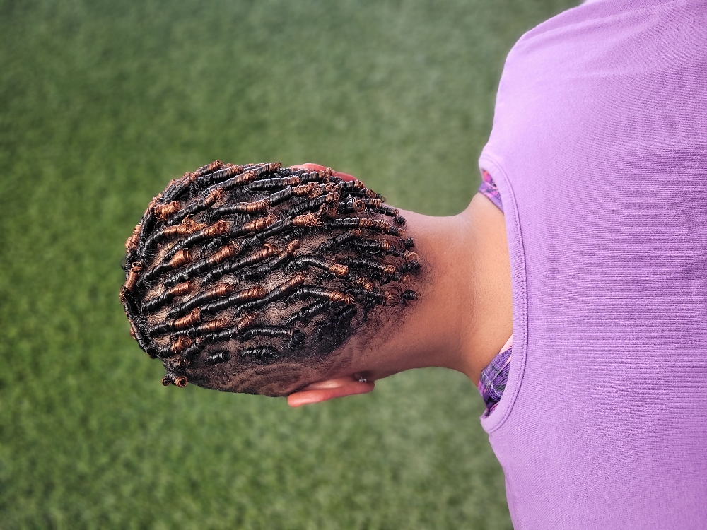 Traditional Starter Locs