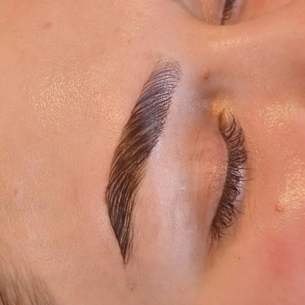 *Special* Brow Lamination And Tint at Signature Aesthetics in Sanford, ME