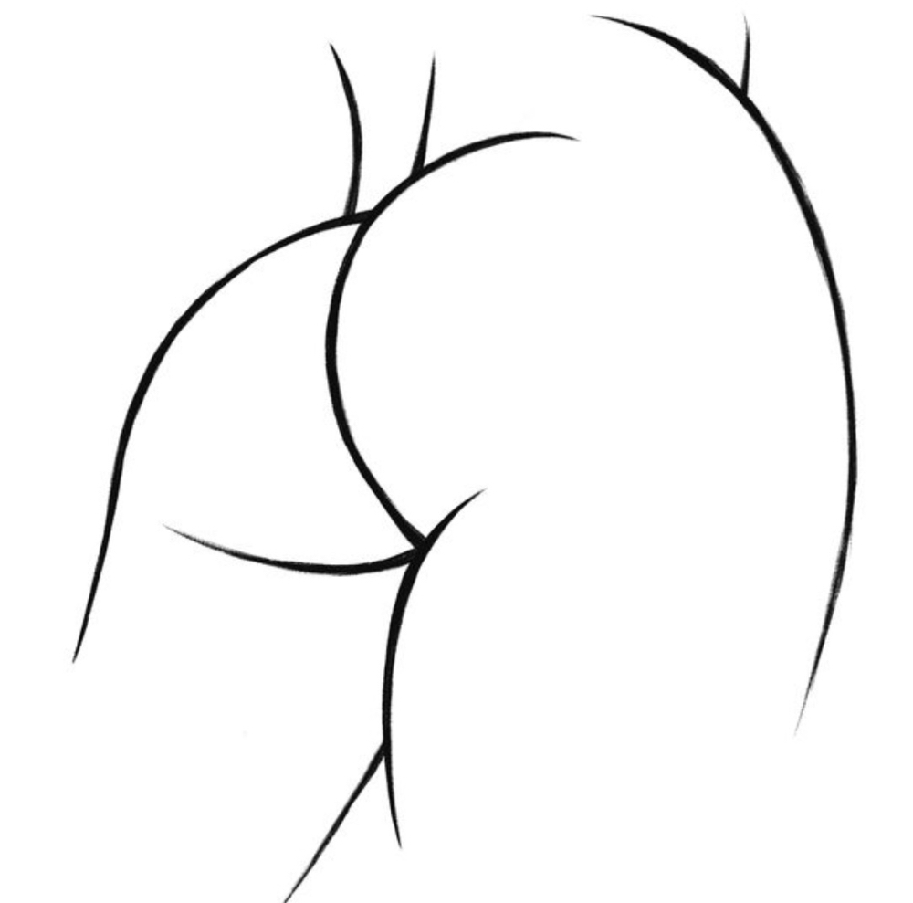 Full Butt