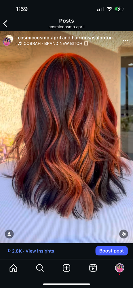 Multi-Colored Highlights (Calico)