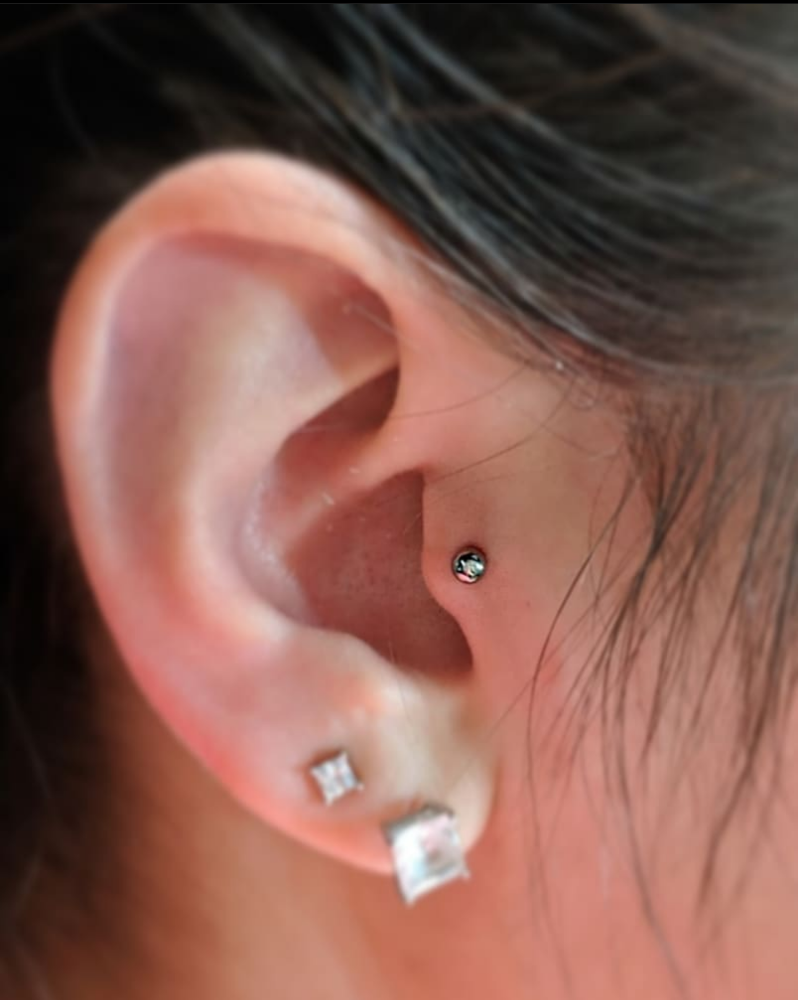 Tragus (Single)